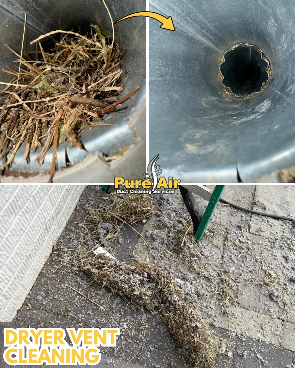 Bird nest removed from a dryer vent, before and after cleaning